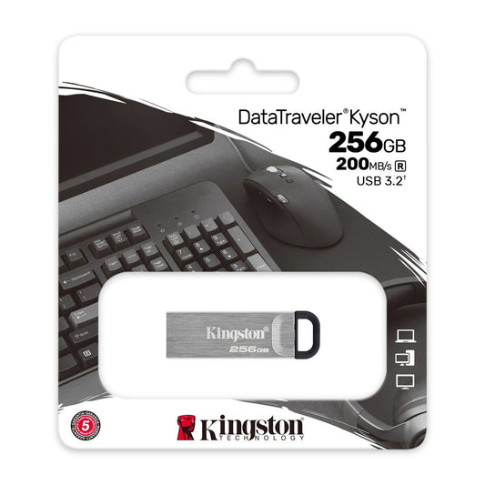 Clé USB Kingston DTKN/256GB Noir 256 GB