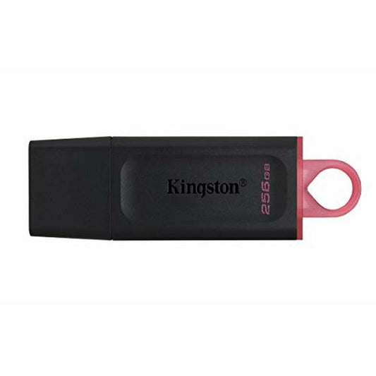 Clé USB Kingston DTX/256GB Porte-clés Noir 256 GB