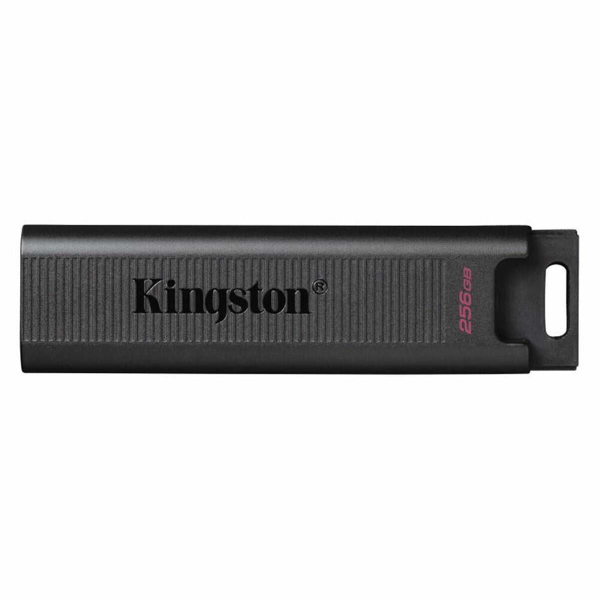 Memoria USB Kingston DTMAX/256GB Negro 256 GB