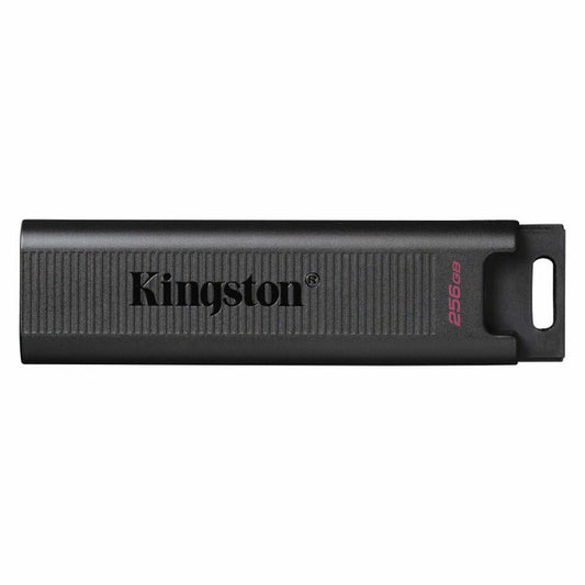 Clé USB Kingston DTMAX/256GB Noir 256 GB