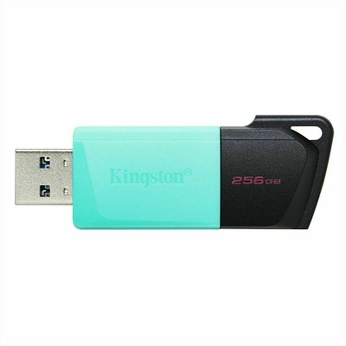 Clé USB Kingston Exodia M Noir 256 GB
