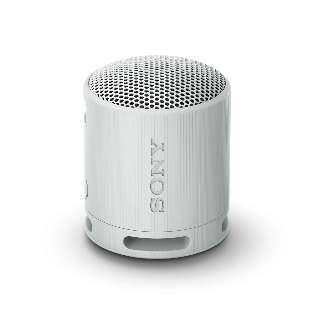 Altavoz Bluetooth Portátil Sony SRSXB100H Gris