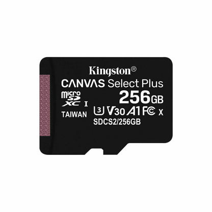 Carte Mémoire Micro SD avec Adaptateur Kingston SDCS2/256GBSP 256GB