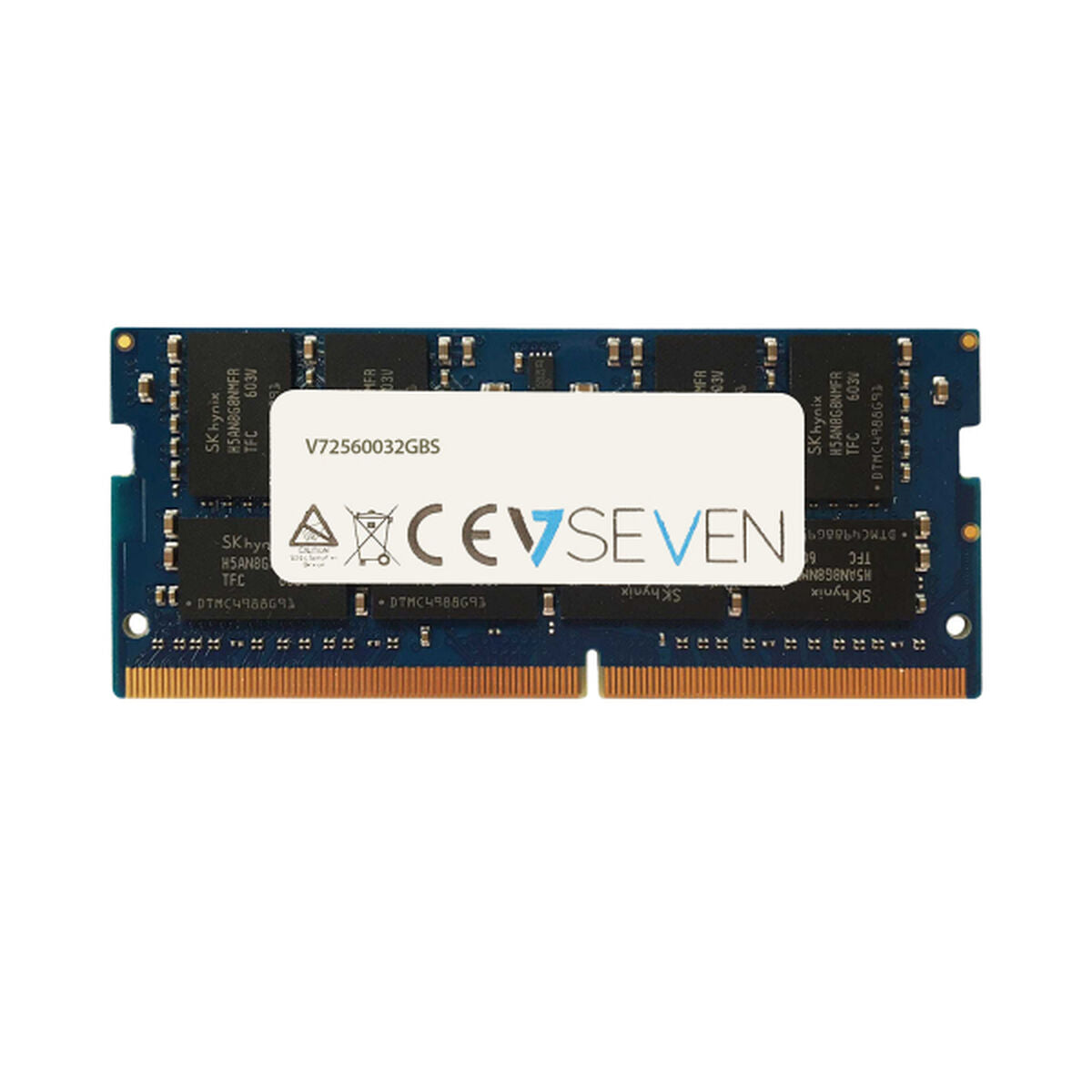 RAM-Speicher V7 V72560032GBS
