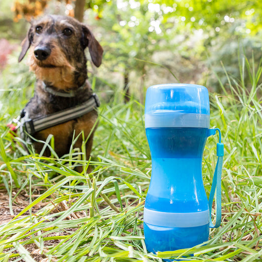 Flasche mit Wasser- und Futterspender für Haustiere 2 in 1 Pettap InnovaGoods 