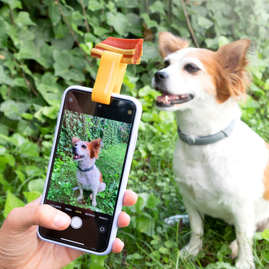 Selfie-Clip für Haustiere Pefie InnovaGoods 
