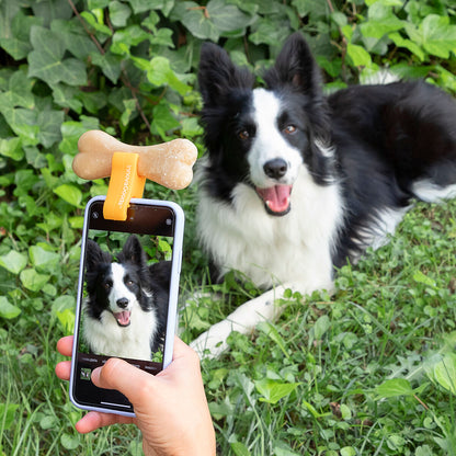 Selfie-Clip für Haustiere Pefie InnovaGoods 